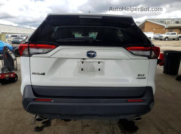 2T3RWRFV8RW221965 2024 TOYOTA RAV4 Белый Вид сзади