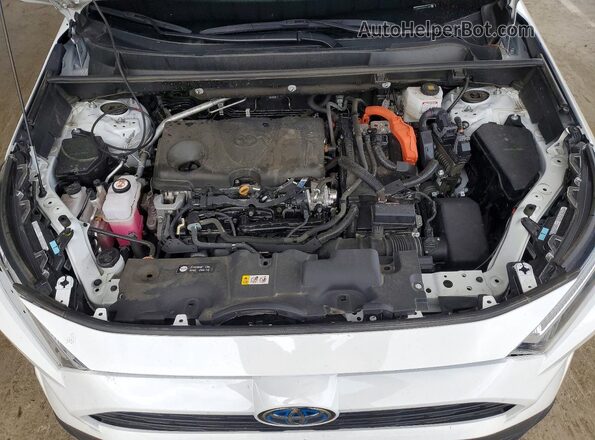 2T3RWRFV8RW221965 2024 TOYOTA RAV4 Белый Вид задней части салона