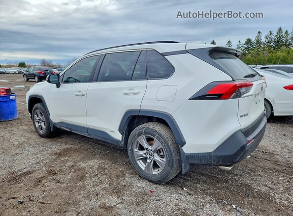 2T3RWRFVXPW181269 2023 TOYOTA RAV4 White Задня ліва чверть