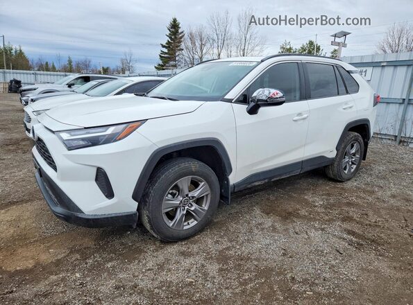 2T3RWRFVXPW181269 2023 TOYOTA RAV4 White Передня ліва чверть