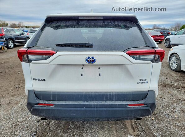 2T3RWRFVXPW181269 2023 TOYOTA RAV4 White Вид ззаду