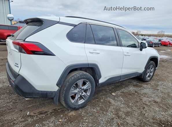 2T3RWRFVXPW181269 2023 TOYOTA RAV4 White Задня права чверть