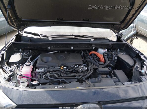 2T3UWRFV6PW155035 2023 TOYOTA RAV4 HYBRID Black Widok z tyłu
