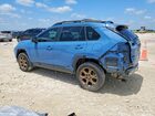 2023 Toyota Rav4 Woodland Edition Blue vin: 2T3UWRFV9PW161069