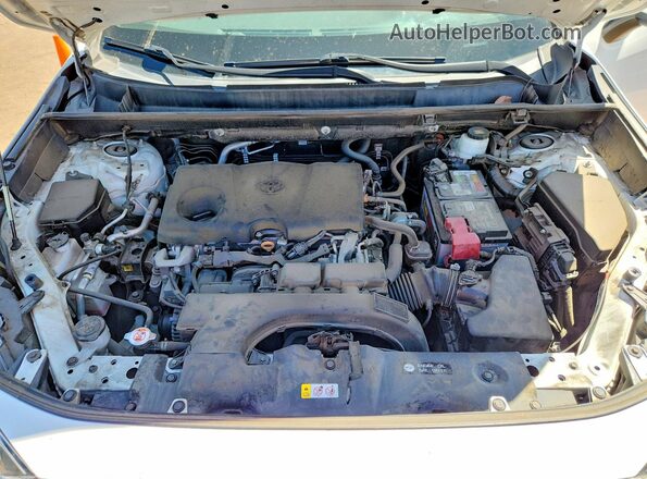 2T3W1RFV0LC058870 2020 TOYOTA RAV4 White Вид задньої частини салону