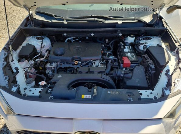 2T3W1RFV1LC054309 2020 TOYOTA RAV4 Белый Вид задней части салона