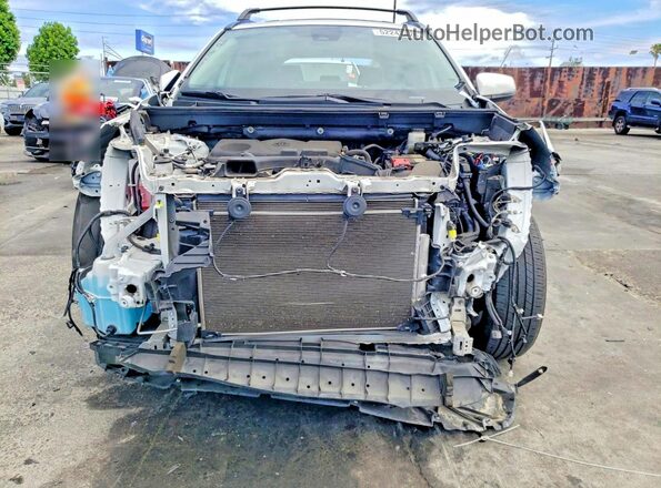 2T3W1RFV1NW233869 2022 TOYOTA RAV4 Белый Вид спереди