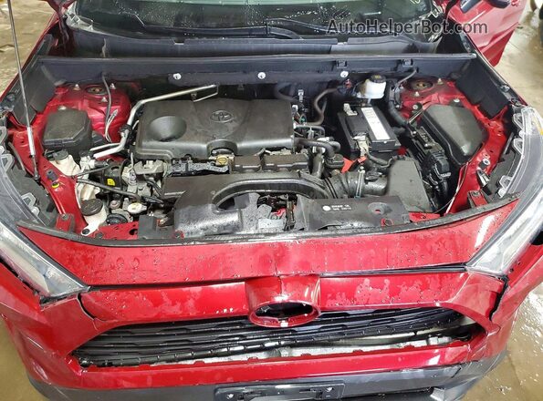 2T3W1RFV3KC003330 2019 TOYOTA RAV4 Красный Вид задней части салона
