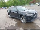 2024 Toyota Rav4 Xle Black vin: 2T3W1RFV5RW333771