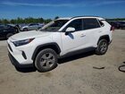 2023 Toyota Rav4 Xle White vin: 2T3W1RFV6PC239817
