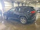 2023 Toyota Rav4 Xle Black vin: 2T3W1RFV6PW280706