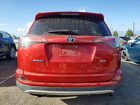2016 Toyota Rav4 Xle Red vin: 2T3WFREV1GW307281 2016 Toyota Rav4 Xle Red vin: 2T3WFREV1GW307281