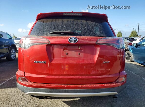 2T3WFREV1GW307281 2016 TOYOTA RAV4 Red Вид ззаду