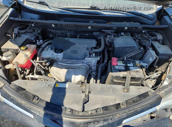 2T3WFREV2HW344986 2017 TOYOTA RAV4 Черный Вид задней части салона