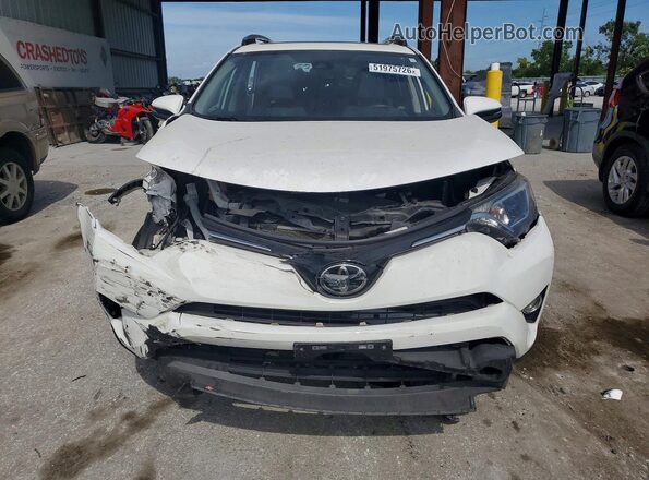2T3WFREV4HW366391 2017 TOYOTA RAV4 Белый Вид спереди