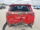 2017 Toyota Rav4 Xle Red vin: 2T3WFREV7HW342568 2017 Toyota Rav4 Xle Red vin: 2T3WFREV7HW342568
