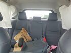 2025 Toyota Rav4 Limited Gray vin: 2T3Y1RFV1SC348056