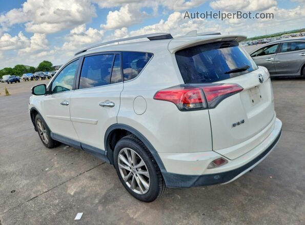 2T3YFREV2GW258987 2016 TOYOTA RAV4 White Задня ліва чверть