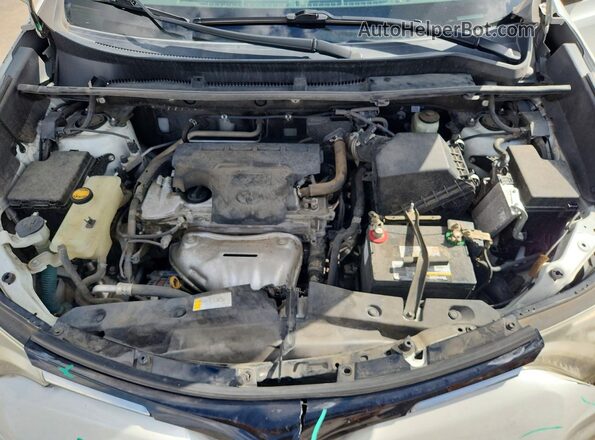 2T3YFREV2GW258987 2016 TOYOTA RAV4 White Вид задньої частини салону