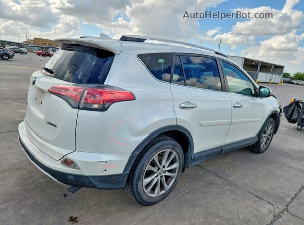 2T3YFREV2GW258987 2016 TOYOTA RAV4 White Задня права чверть