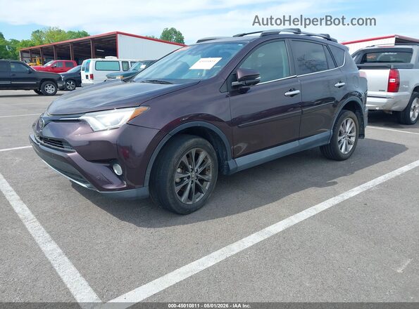 2T3YFREV8HW374437 2017 TOYOTA RAV4 Purple Przód lewy