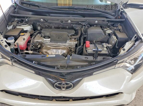 2T3YFREV8HW378455 2017 TOYOTA RAV4 White უკანა სალონის ხედი