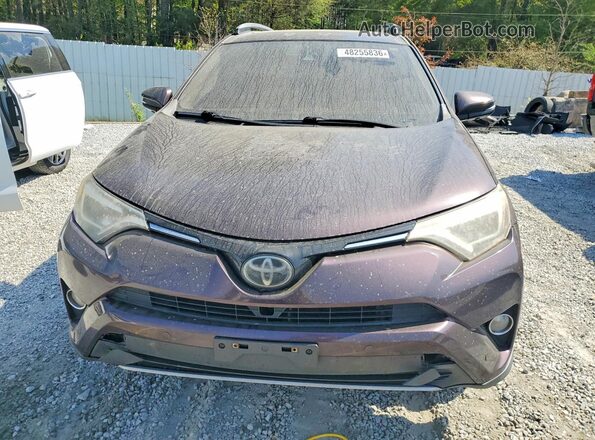 2T3YFREVXHW366095 2017 TOYOTA RAV4 Purple Front view