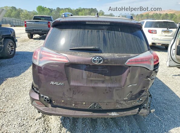 2T3YFREVXHW366095 2017 TOYOTA RAV4 Purple Rear view