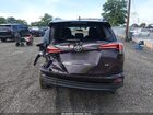 2016 Toyota Rav4 Le Фиолетовый vin: 2T3ZFREV9GW282482