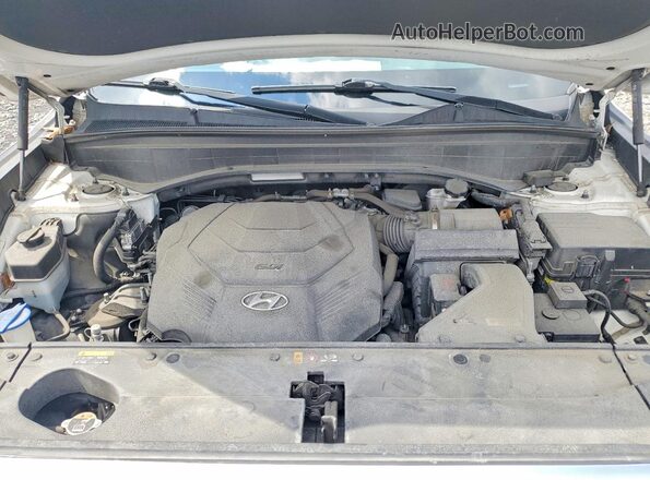 KM8R4DHE0LU135104 2020 HYUNDAI PALISADE White Вид наклейки з VIN-кодом