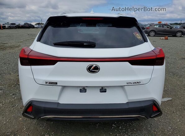 JTHY3JBH1K2006480 2019 LEXUS UX White Հետևի տեսք