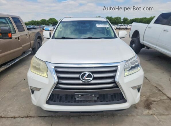 JTJJM7FX3H5174498 2017 LEXUS GX White Widok z tyłu