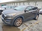 2019 Hyundai Tucson Value Коричневый vin: KM8J33A47KU977917
