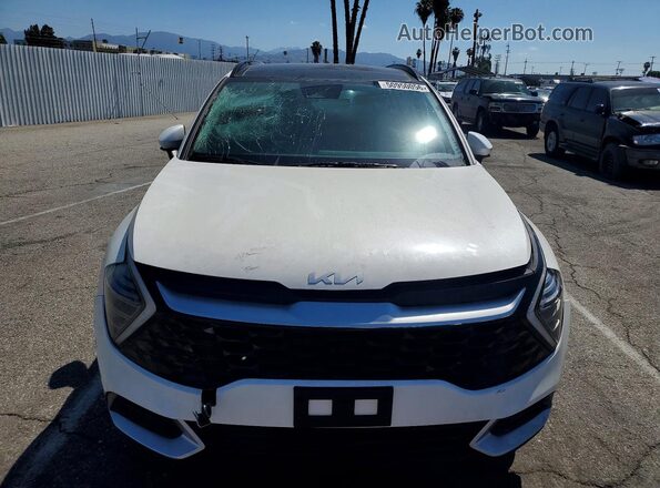 KNDPVCDG3S7217903 2025 KIA SPORTAGE Белый Вид сзади