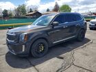 2020 Kia Telluride Sx Коричневый vin: 5XYP5DHC4LG004489