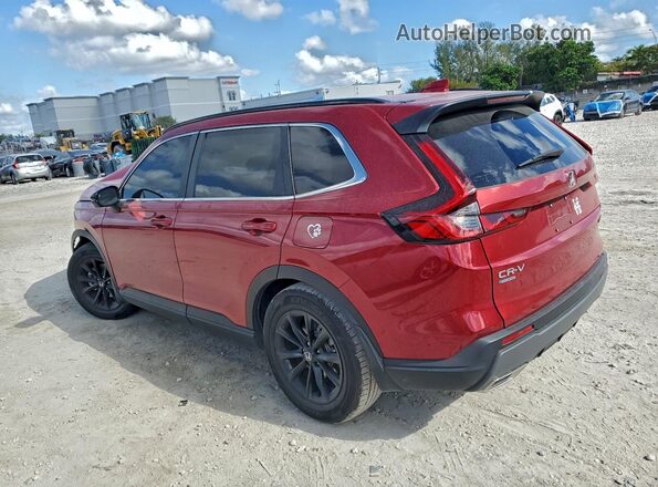 7FARS5H58SE039409 2025 HONDA CRV Red უკანა მარჯვენა