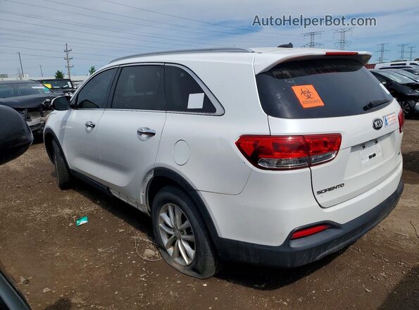 5XYPG4A32HG239825 2017 KIA SORENTO Белый Задняя правая четверть