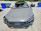2019 Audi S5 Premium Plus Серый vin: WAUB4CF52KA034551