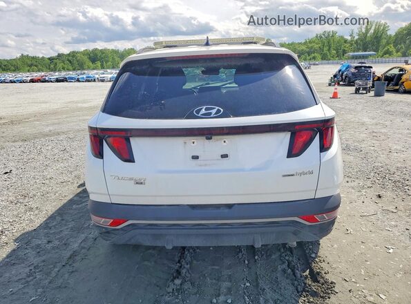 KM8JBCD18RU156520 2024 HYUNDAI TUCSON Белый Вид салона спереди