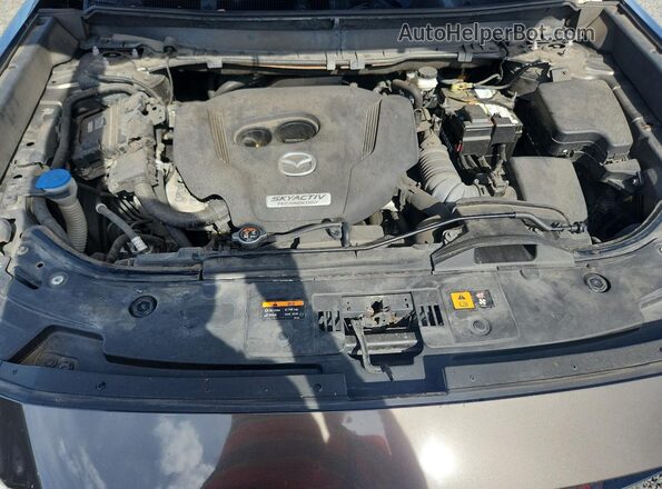 JM3TCACY4K0310304 2019 MAZDA CX-9 Коричневый Вид наклейки с VIN-кодом