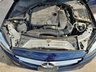 2019 Mercedes-benz C 300 Blue vin: 55SWF8DB2KU302332
