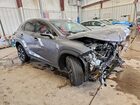 2020 Lexus Nx 300 F Sport Gray vin: JTJSARDZ9L5007388