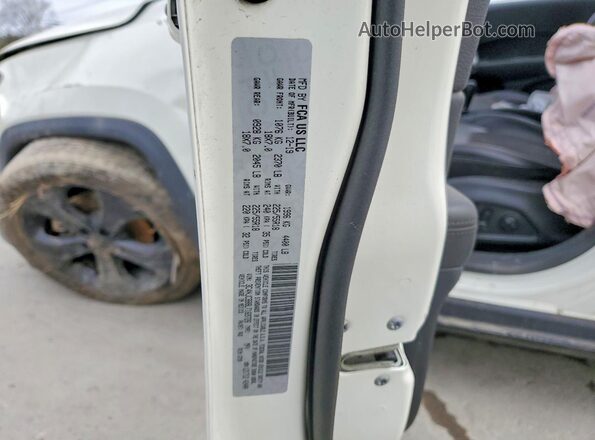 3C4NJCBB8LT169726 2020 JEEP COMPASS White Вид наклейки з VIN-кодом