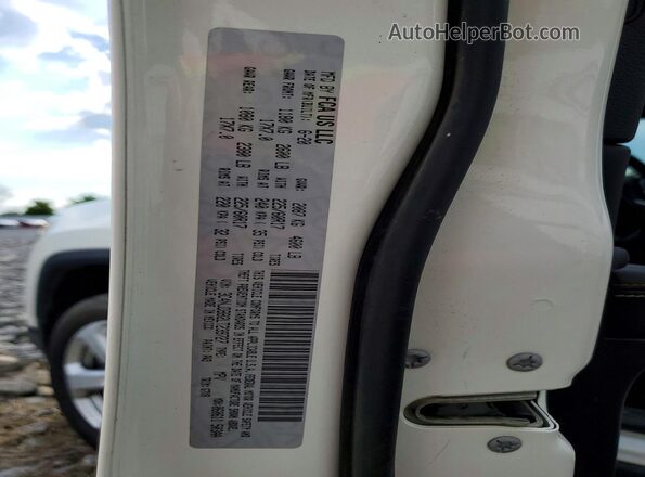 3C4NJDBB2LT239727 2020 JEEP COMPASS Белый Панорамный вид салона 360°