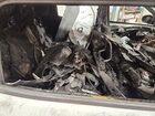 2024 Jeep Compass Latitude Burn vin: 3C4NJDBN3RT115758