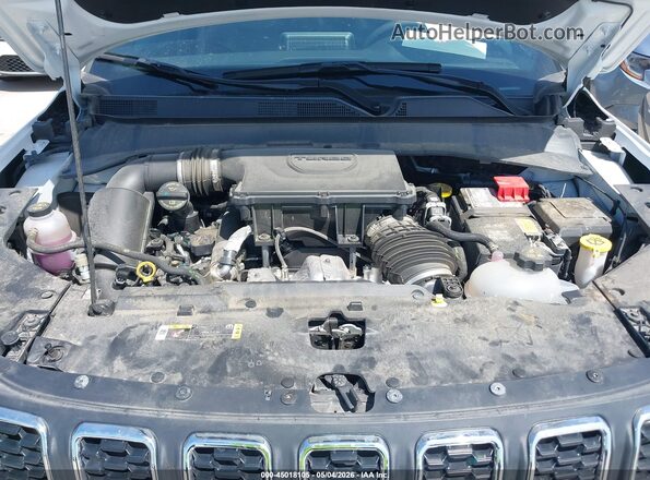 3C4NJDBN7ST597673 2025 JEEP COMPASS White Widok z tyłu