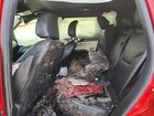 2024 Jeep Compass Limited Red vin: 3C4NJDCN6RT159252