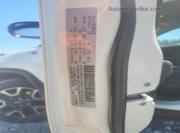 3C4NJDDB3LT171693 2020 JEEP COMPASS Белый Вид наклейки с VIN-кодом