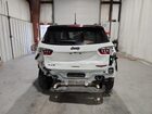 2025 Jeep Compass Trailhawk Белый vin: 3C4NJDDN4ST522877 Damage: Lift Gate, Severe Damage, Replacement Required