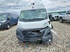 2023 Ram Promaster 2500 2500 High White vin: 3C6LRVDG9PE558350